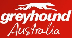 greyhound australia greyhound australia